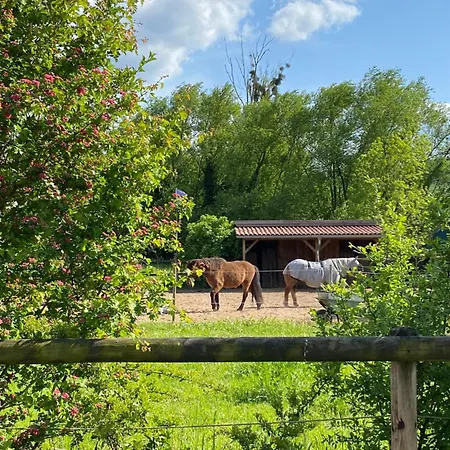 Schwalbennest In * Heessen